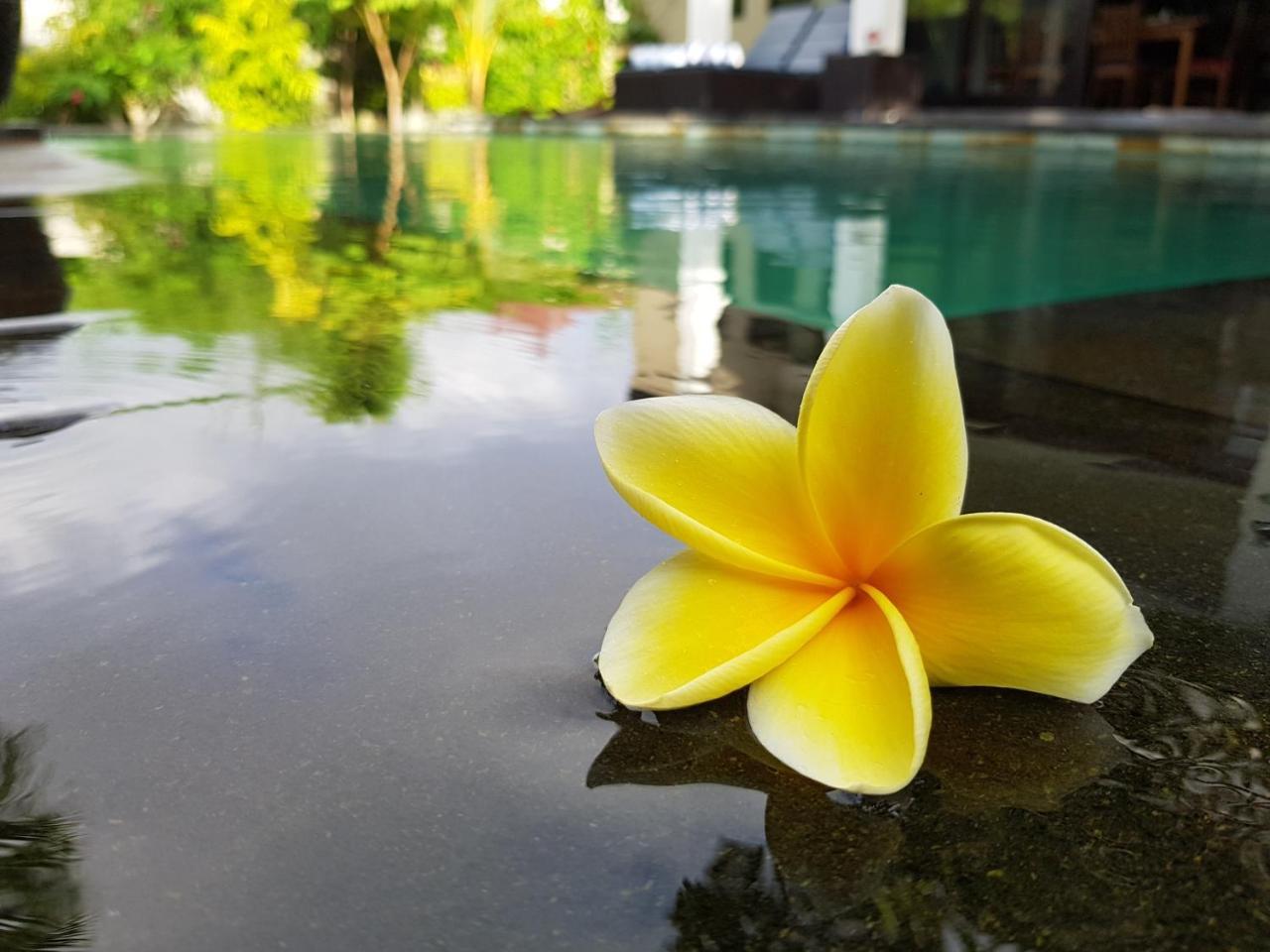 Villa Horizon Nusa Dua Nusa Dua  Exterior foto